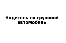 Водитель на грузовой автомобиль